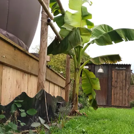Bulles D étoiles Beloeil