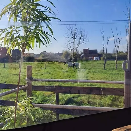 Bulles D étoiles Lodge Beloeil